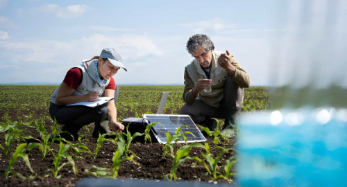 Equit�, Scienza e Biodiversit�: Il Dilemma della Condivisione dei Benefici tra Tutela e Innovazione